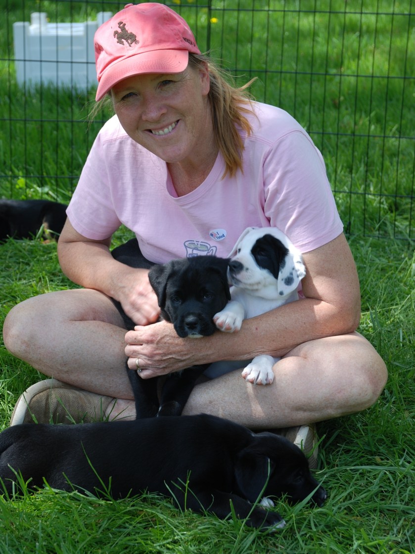 cara-and-pups-better