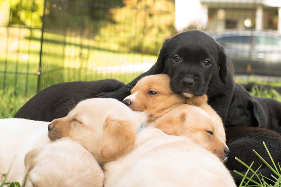 NaNoWriMo Day 4: Not a Word, Not One&nbsp;Word