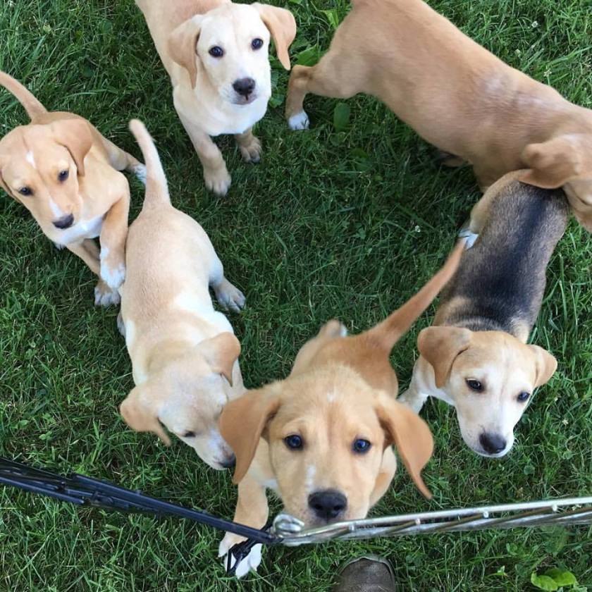 19437294_10154692804287405_8708825484521986495_n