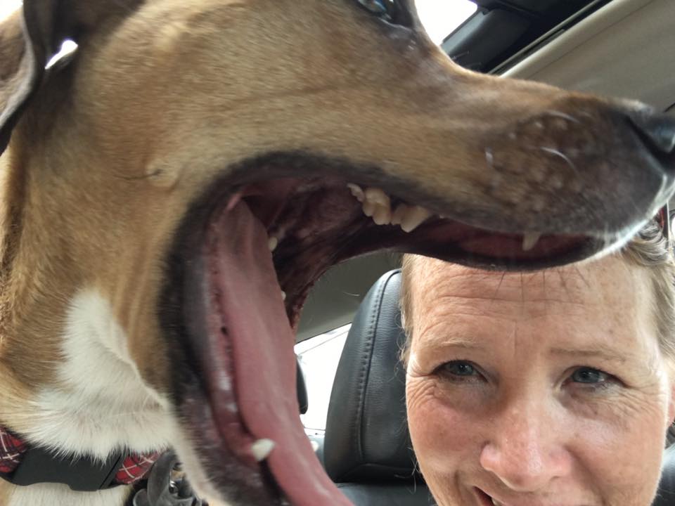 I Believe in Book&nbsp;Fairies