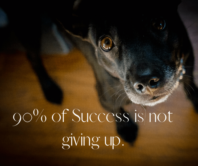 90% of Success is not giving up.