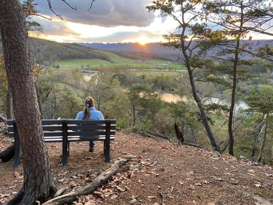 Finding the Focus to&nbsp;Write