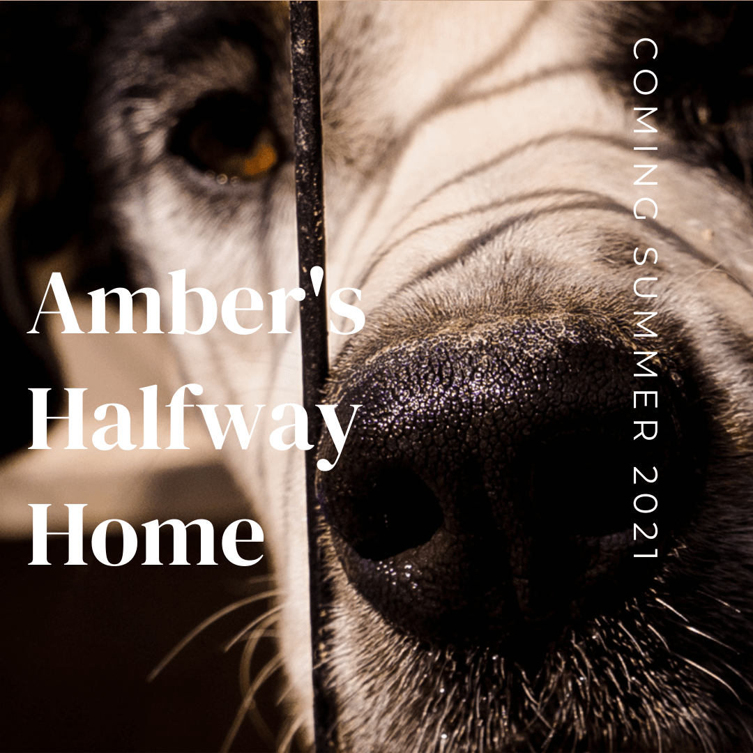 How Can You Raise 20K Really Quick When It Really&nbsp;Matters?