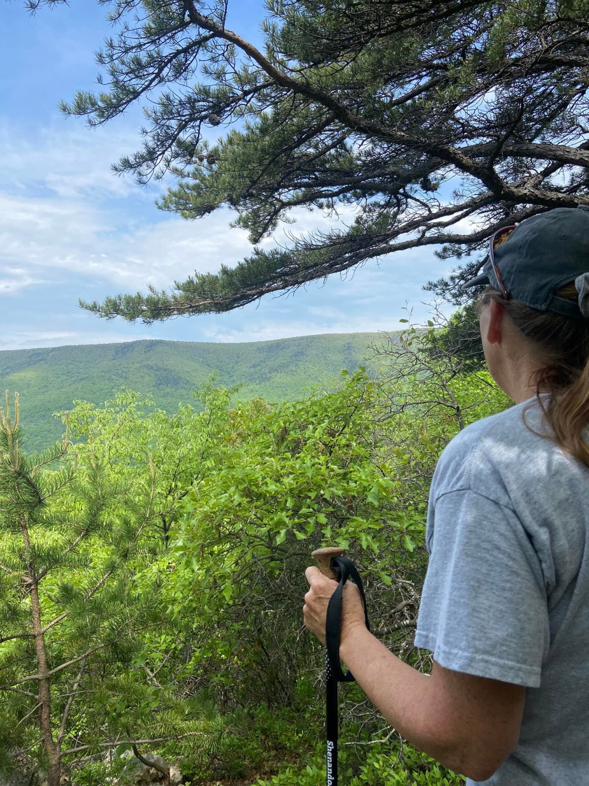 Move it or Lose It (Write it or Lose&nbsp;It)