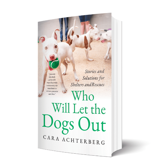 New Book Coming in&nbsp;2025!