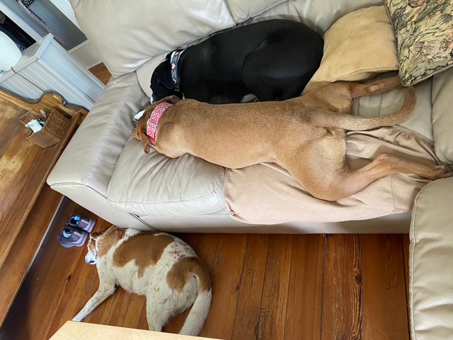 What Do We&nbsp;Deserve?