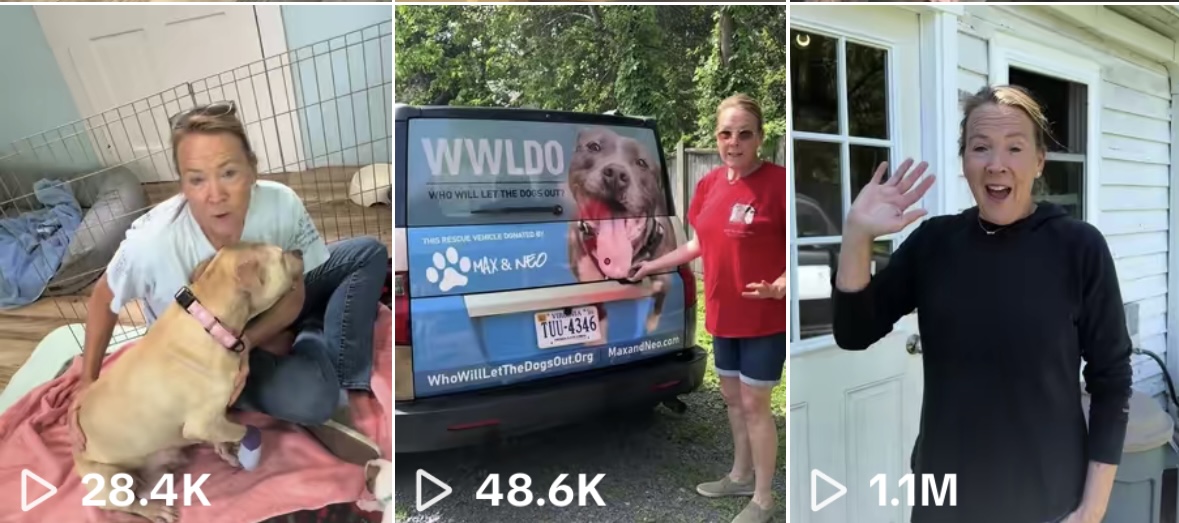 My Viral Moment on&nbsp;TikTok