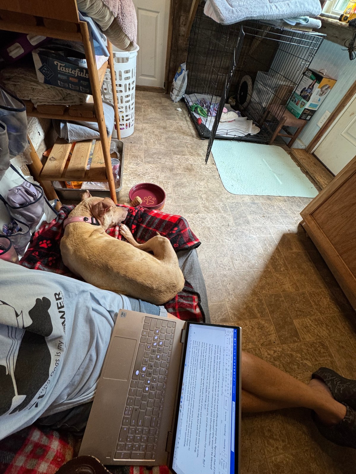 Writing Discipline in the Chaos of&nbsp;Life